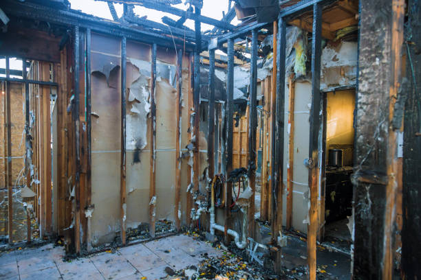 Professional Fire Damage Removal technician working in Holyoke, MA